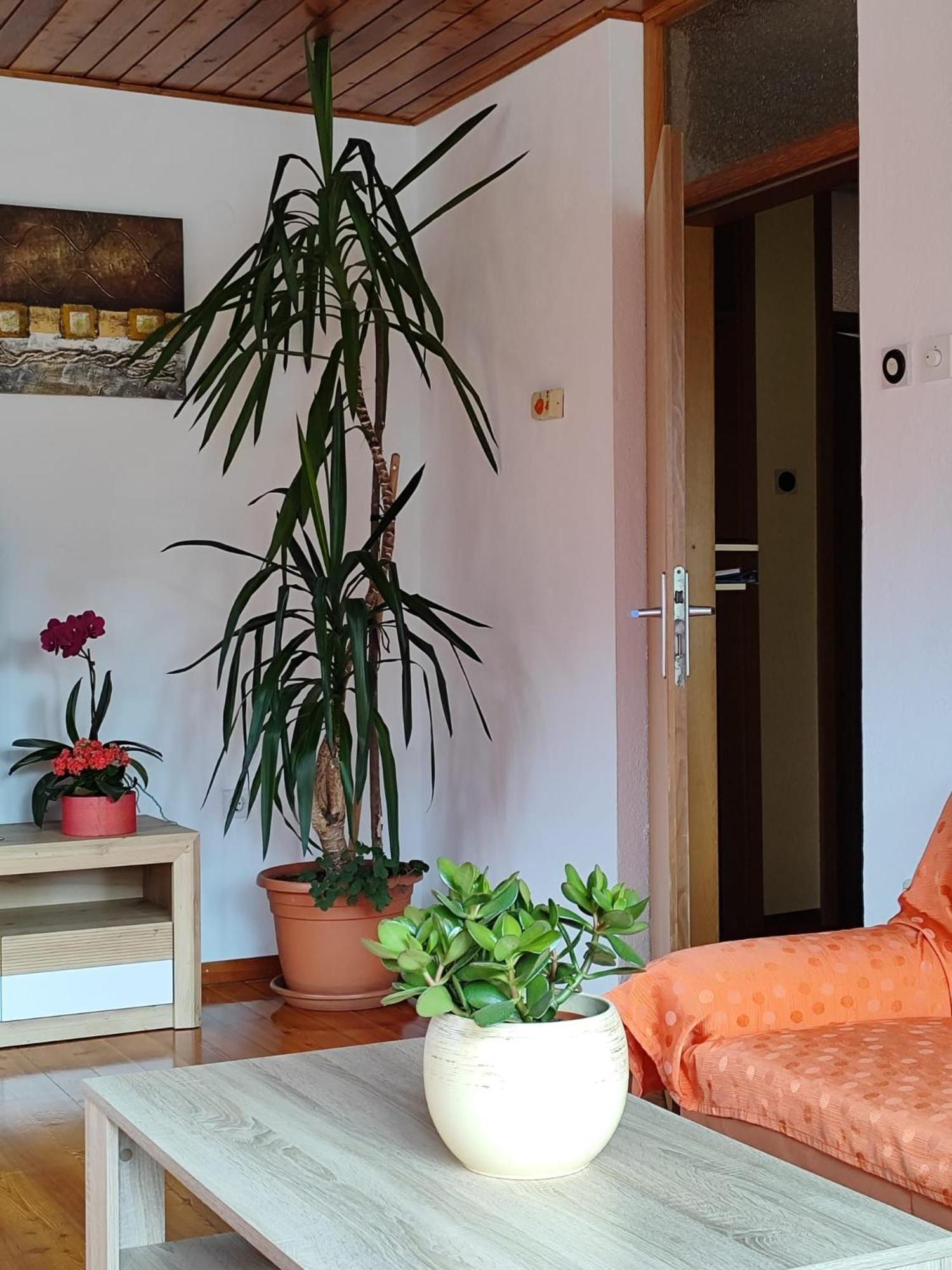 Apartment Kolman Tolmin Exterior foto